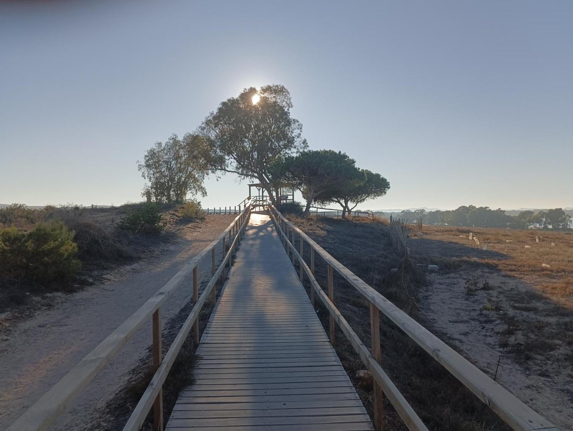 לה מאטה Bonito Apartamento 150 M De La Playa La Mata מראה חיצוני תמונה