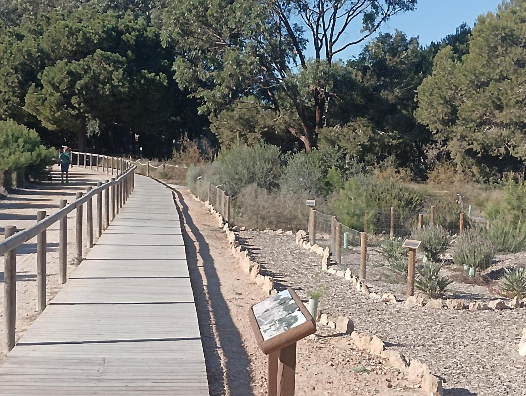 לה מאטה Bonito Apartamento 150 M De La Playa La Mata מראה חיצוני תמונה
