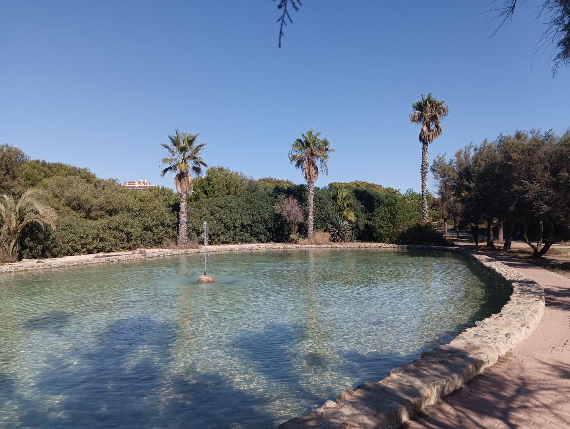 לה מאטה Bonito Apartamento 150 M De La Playa La Mata מראה חיצוני תמונה