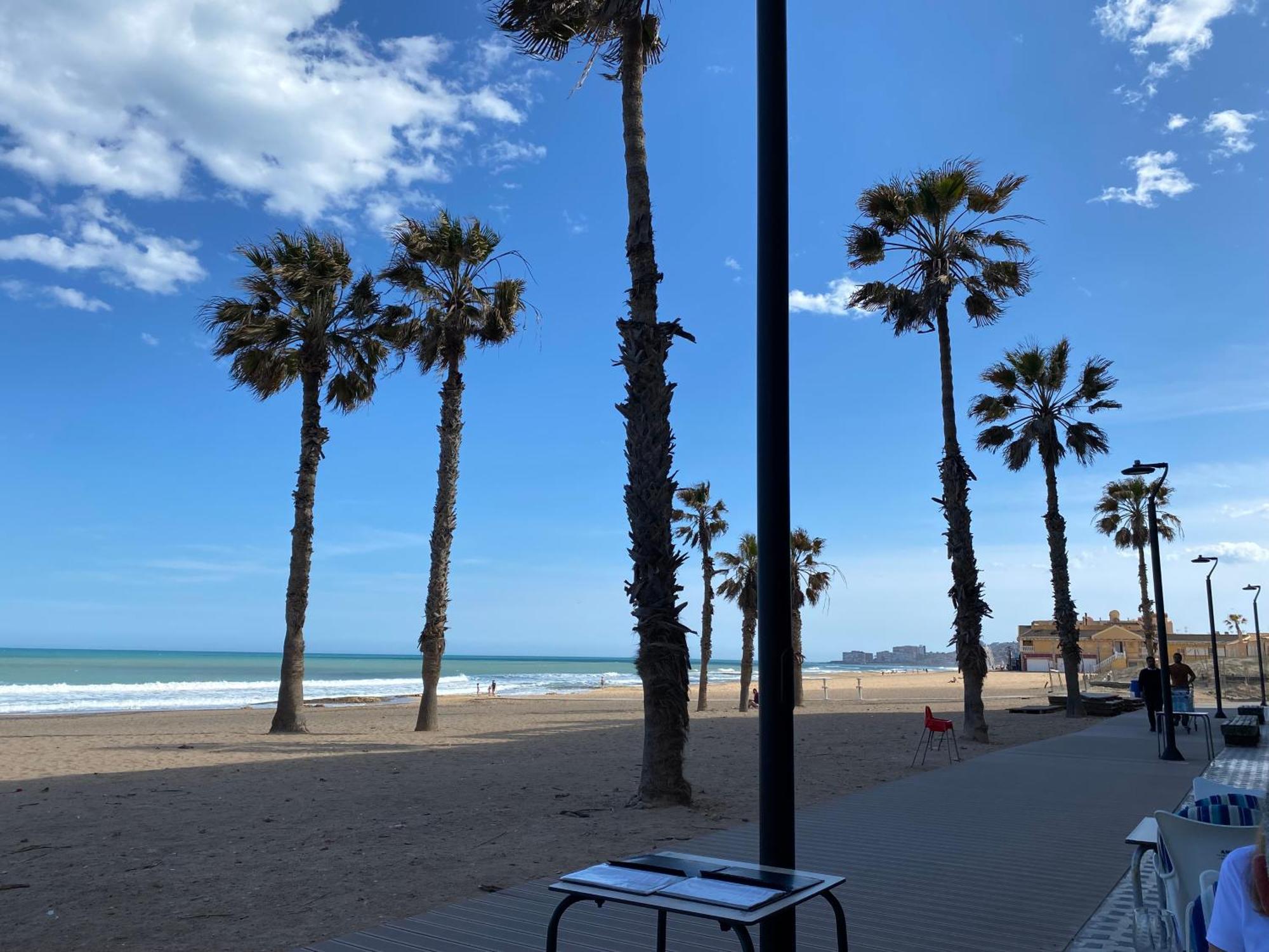 לה מאטה Bonito Apartamento 150 M De La Playa La Mata מראה חיצוני תמונה